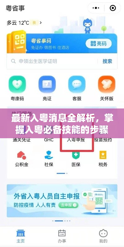 最新入粤消息全解析，掌握入粤必备技能的步骤指南