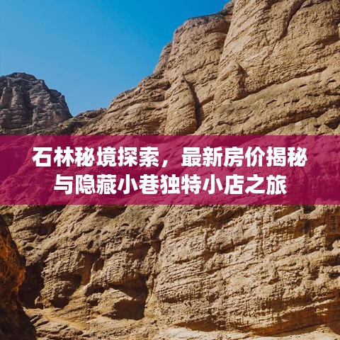 石林秘境探索，最新房价揭秘与隐藏小巷独特小店之旅