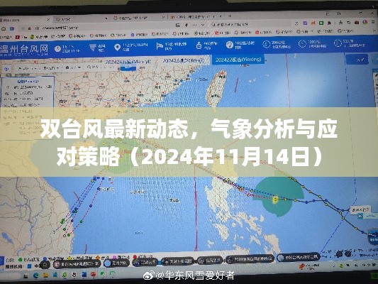 双台风最新动态，气象分析与应对策略（2024年11月14日）