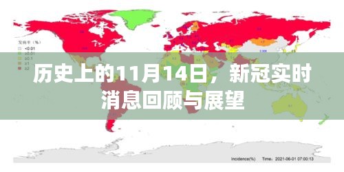 历史上的11月14日，新冠实时消息回顾与展望