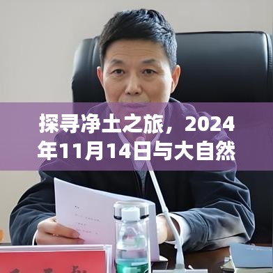 探寻净土之旅，2024年11月14日与大自然的约会，最新土地动态揭秘