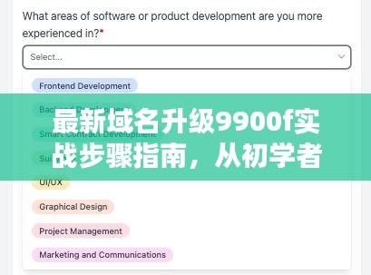 最新域名升级9900f实战步骤指南，从初学者到进阶用户的全面参考（2024年11月14日更新）