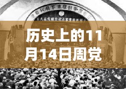 历史上的11月14日周党房价深度解析，最新评测、用户体验与目标用户分析