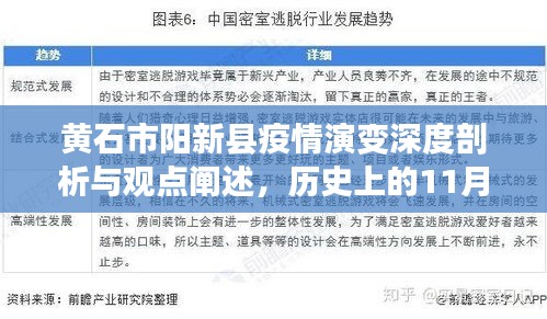 黄石市阳新县疫情演变深度剖析与观点阐述，历史上的11月14日回顾与最新疫情观察