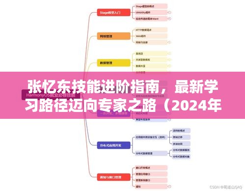 张忆东技能进阶指南，最新学习路径迈向专家之路（2024年最新版）