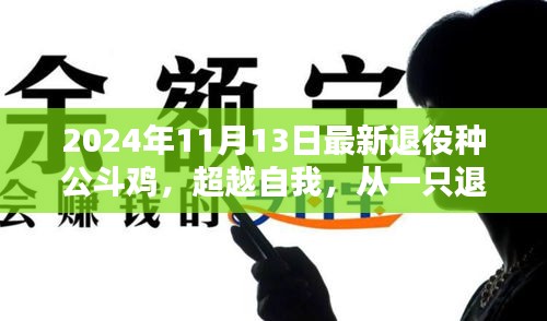 超越自我，退役种公斗鸡的斗志力量启示录