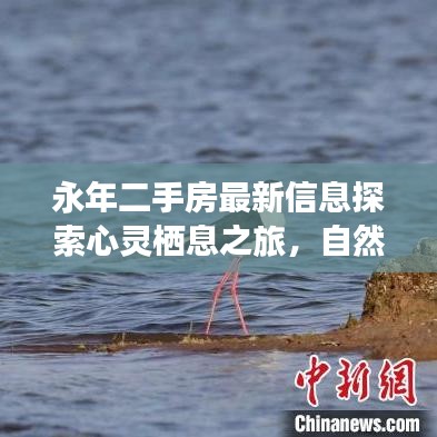 永年二手房最新信息探索心灵栖息之旅，自然美景与宁静角落的探寻