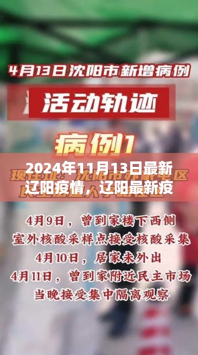 辽阳疫情最新动态，深度解析防控进展与现状（截至2024年11月）