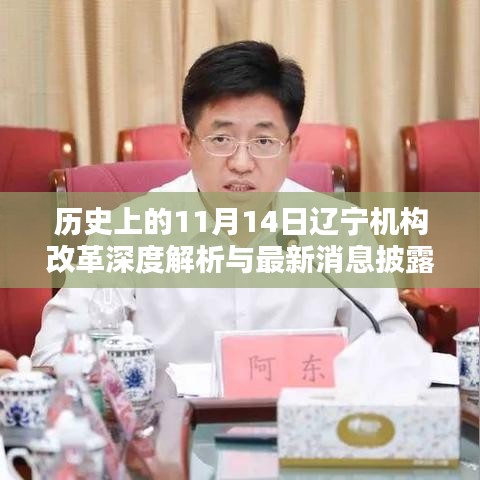 历史上的11月14日辽宁机构改革深度解析与最新消息披露