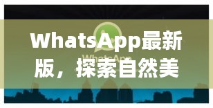 WhatsApp最新版，探索自然美景之旅，寻找内心的宁静时光（11月14日更新）