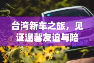 台湾新车之旅，见证温馨友谊与陪伴的力量（11月14日最新车型）