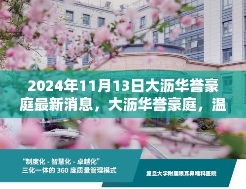 大沥华誉豪庭最新消息揭秘，美好时光中的温馨日常（2024年11月13日）