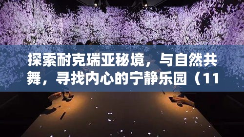 探索耐克瑞亚秘境，与自然共舞，寻找内心的宁静乐园（11月最新更新）