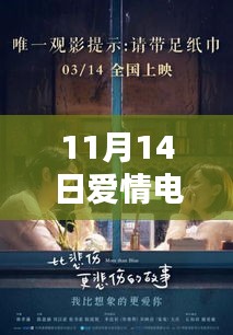 11月14日爱情电影深度解析，光影间的浪漫绽放