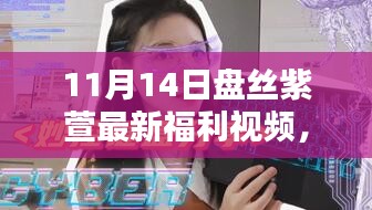 11月14日盘丝紫萱最新福利视频，全面评测与详细介绍