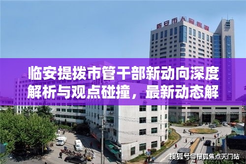 临安提拨市管干部新动向深度解析与观点碰撞，最新动态解析报告（附日期）