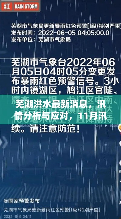 芜湖洪水最新消息，汛情分析与应对，11月汛情紧急报告