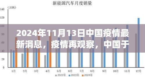 中国疫情最新进展与洞察，2024年11月13日观察报告