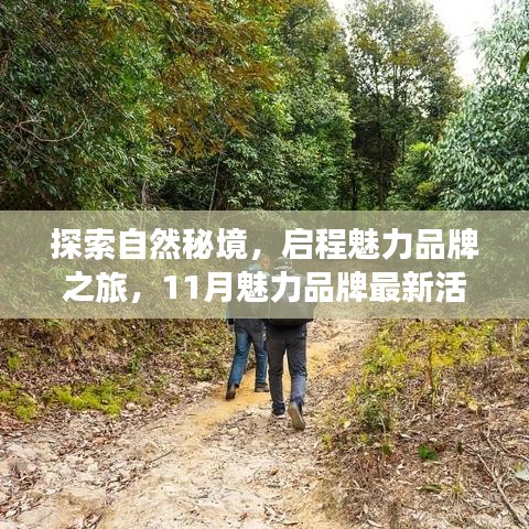 探索自然秘境，启程魅力品牌之旅，11月魅力品牌最新活动揭秘