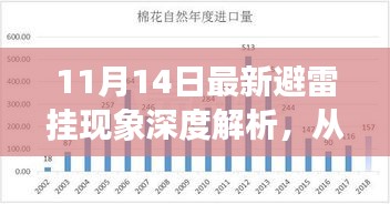 11月14日最新避雷挂现象深度解析，从某某观点看避雷策略