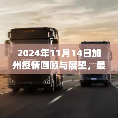 2024年11月14日加州疫情回顾与展望，最新动态与趋势分析