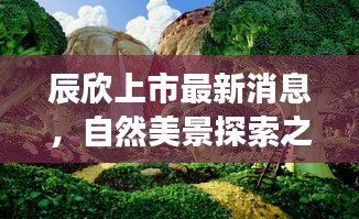 辰欣上市最新消息，自然美景探索之旅启程，惊喜启示揭晓于2024年11月14日