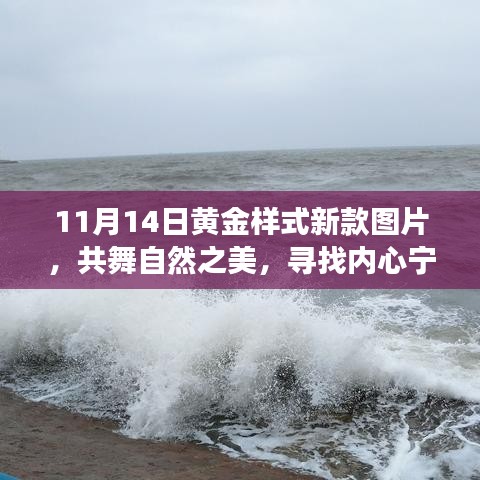 11月14日黄金样式新款图片，共舞自然之美，寻找内心宁静港湾的旅程