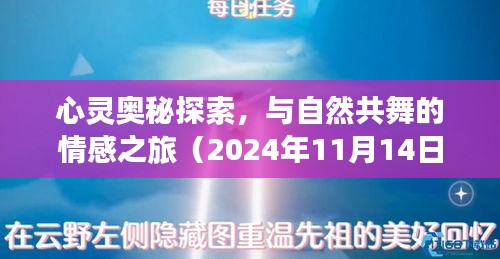 心灵奥秘探索，与自然共舞的情感之旅（2024年11月14日最新感悟）