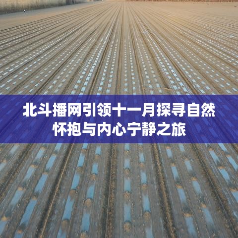 北斗播网引领十一月探寻自然怀抱与内心宁静之旅