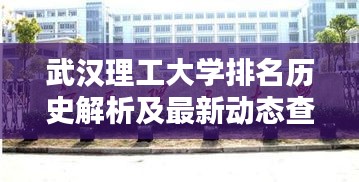 武汉理工大学排名历史解析及最新动态查询指南（2016年）揭秘历史数据与查询步骤（初学者与进阶用户适用）