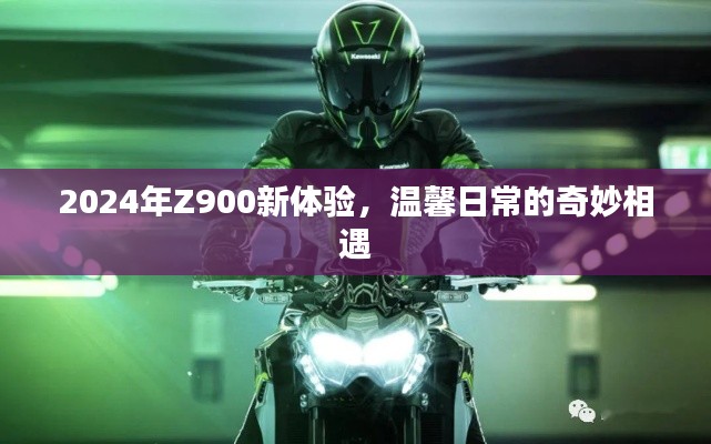 2024年Z900新体验，温馨日常的奇妙相遇