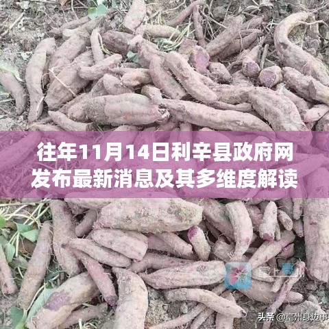 往年11月14日利辛县政府网发布最新消息及其多维度解读与探讨