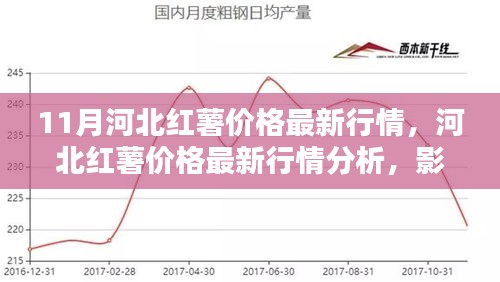 河北红薯价格最新行情揭秘，影响因素、走势预测与分析