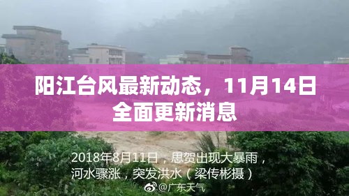 阳江台风最新动态，11月14日全面更新消息