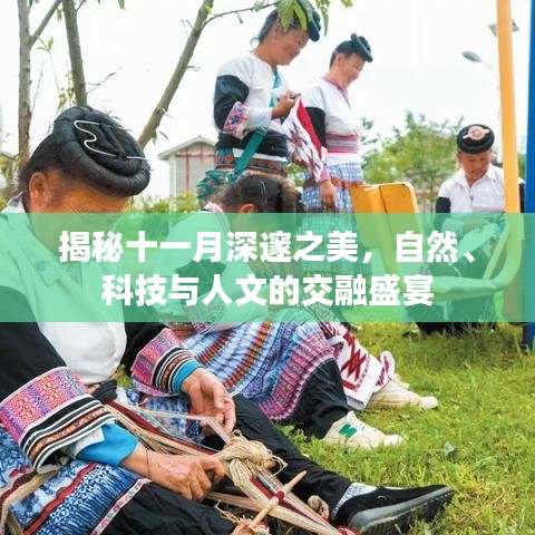 揭秘十一月深邃之美，自然、科技与人文的交融盛宴