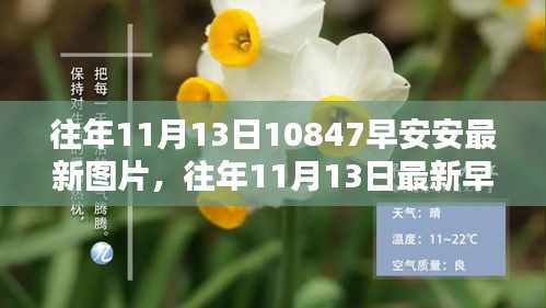 『往年11月13日早安安最新图片获取指南与攻略』