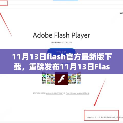 重磅发布，11月13日Flash官方最新版下载，革新功能体验，科技魅力让生活炫彩