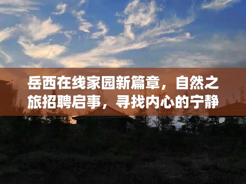 岳西在线家园新篇章，自然之旅招聘启事，寻找内心的宁静港湾