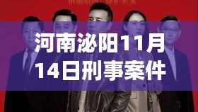 河南泌阳11月14日刑事案件回顾，探寻历史真相，揭开重大案件的神秘面纱