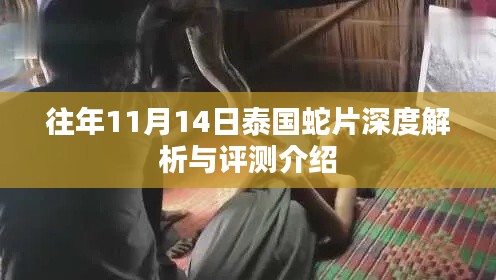 往年11月14日泰国蛇片深度解析与评测介绍