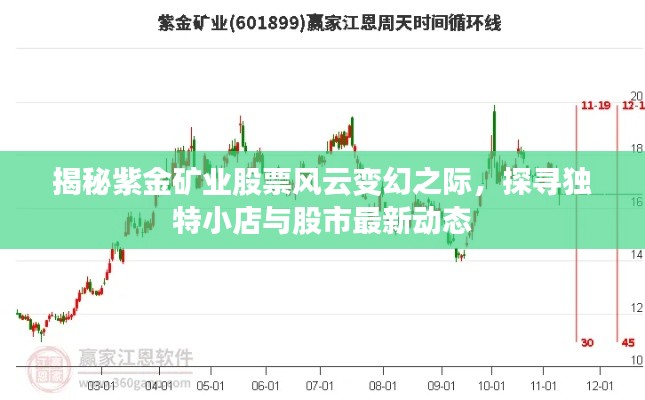 揭秘紫金矿业股票风云变幻之际，探寻独特小店与股市最新动态