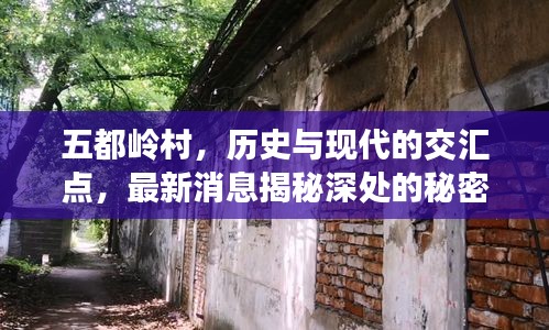 五都岭村，历史与现代的交汇点，最新消息揭秘深处的秘密与小巷奇趣小店