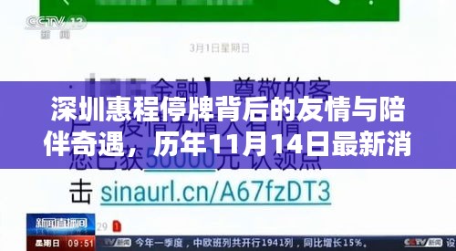 深圳惠程停牌背后的友情与陪伴奇遇，历年11月14日最新消息揭秘