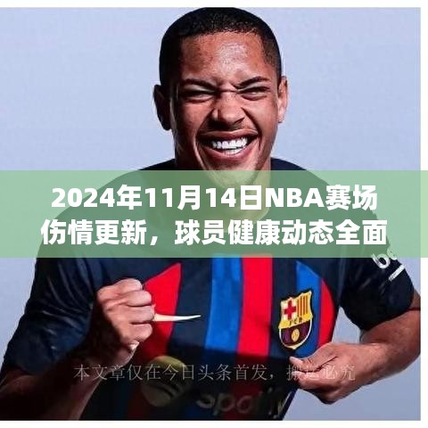 2024年11月14日NBA赛场伤情更新，球员健康动态全面聚焦