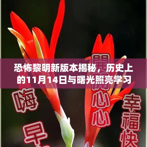 恐怖黎明新版本揭秘，历史上的11月14日与曙光照亮学习之路