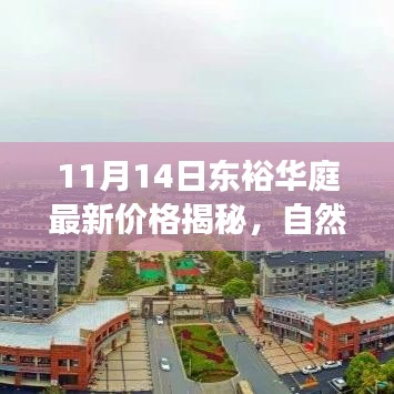 11月14日东裕华庭最新价格揭秘，自然美景与宁静生活的探索之旅