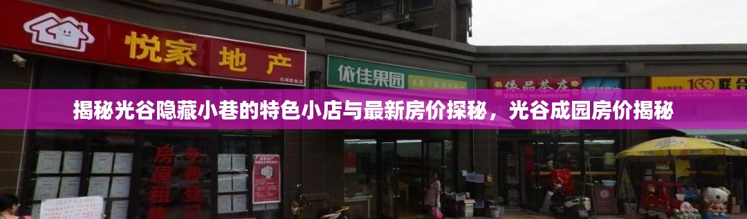 揭秘光谷隐藏小巷的特色小店与最新房价探秘，光谷成园房价揭秘