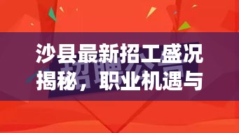 沙县最新招工盛况揭秘，职业机遇与影响