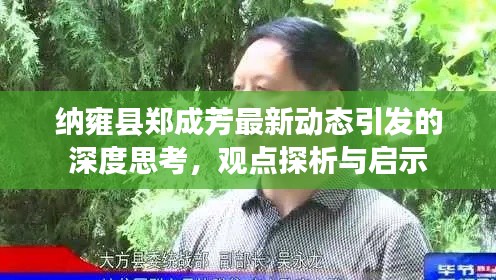 纳雍县郑成芳最新动态引发的深度思考，观点探析与启示