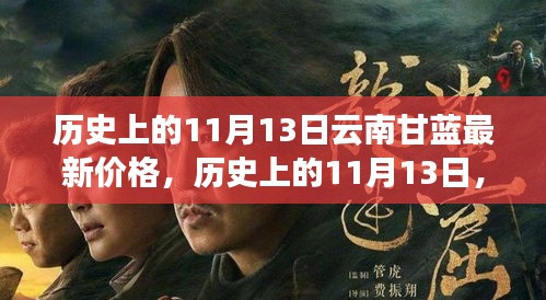 云南甘蓝价格变迁背后的励志故事，历史上的11月13日回顾与最新价格揭秘